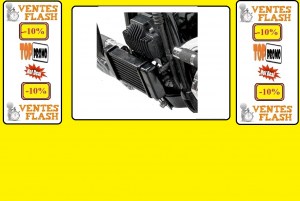 RADIATEUR DYNA 750-2500C